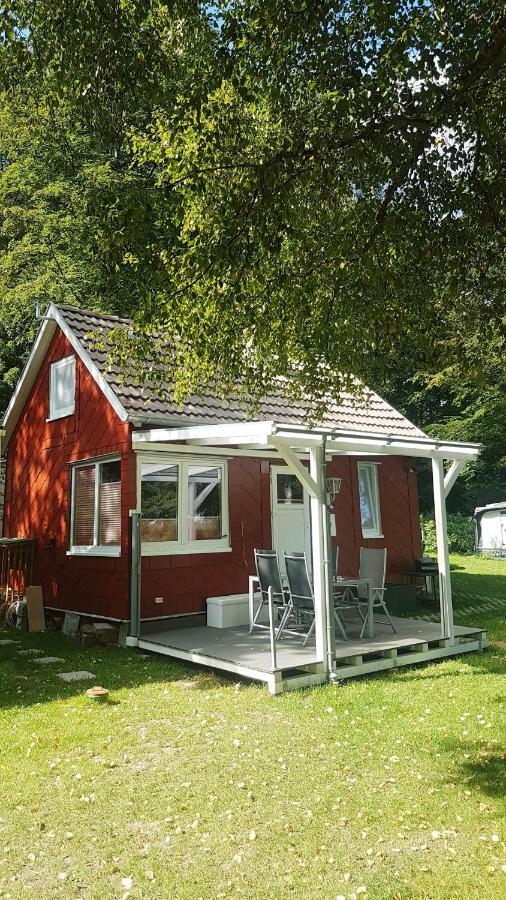 Direkt Am Badesee 11 Schönsee Ferienhaus