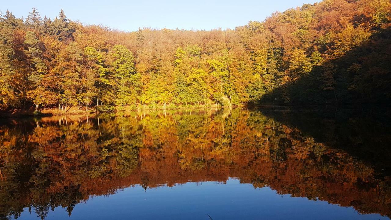 Direkt Am Badesee 11 Schönsee Ferienhaus *