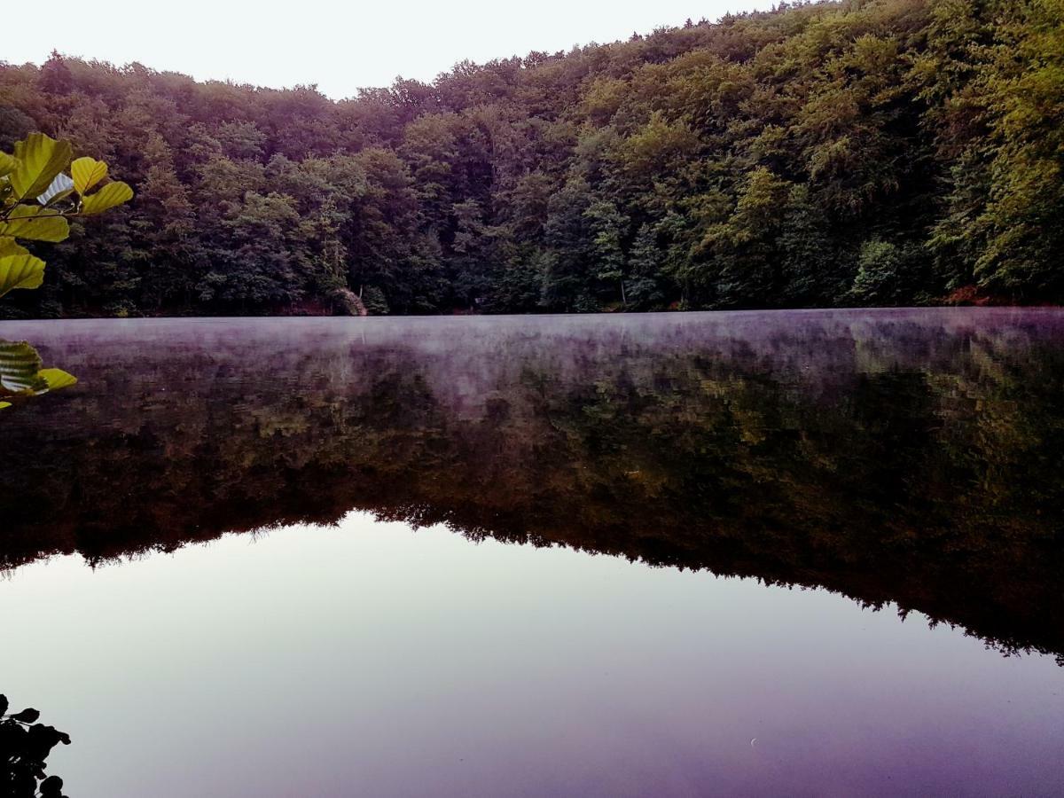 Direkt Am Badesee 11 Schönsee Urnshausen