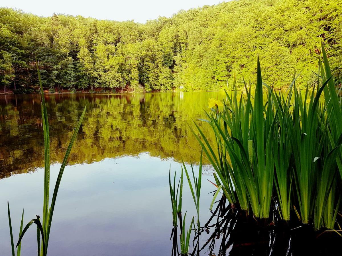 Direkt Am Badesee 11 Schönsee